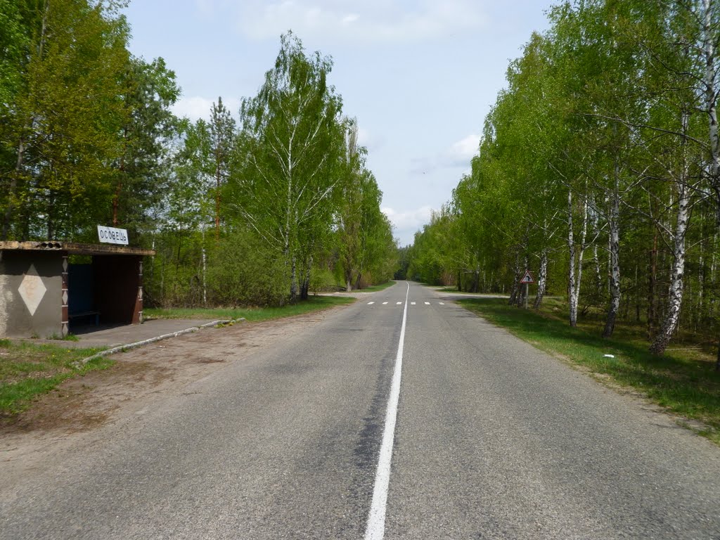 Bus Stop