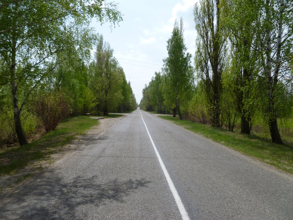 Road To Sloboda