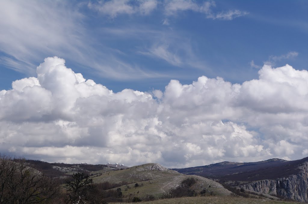 Skyscape