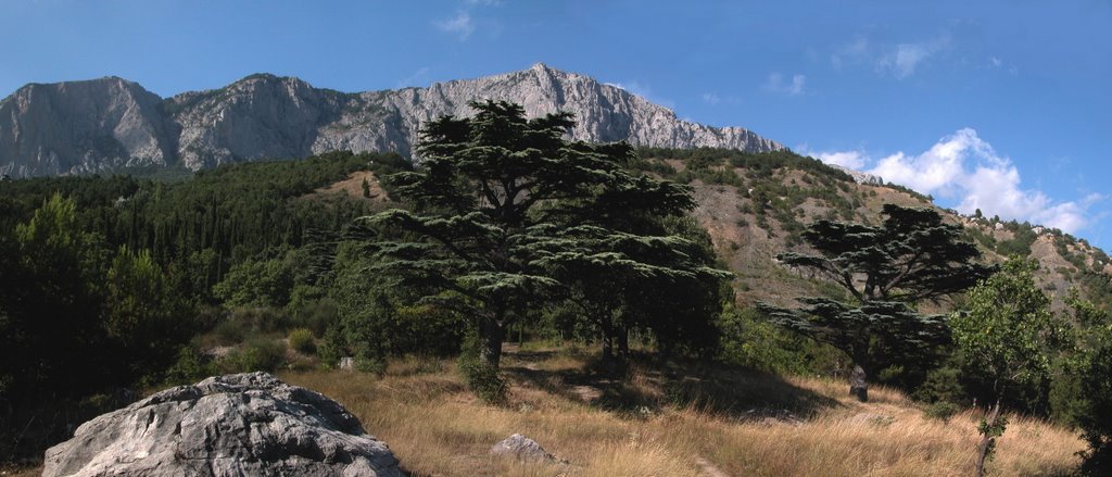 Pano_40-2