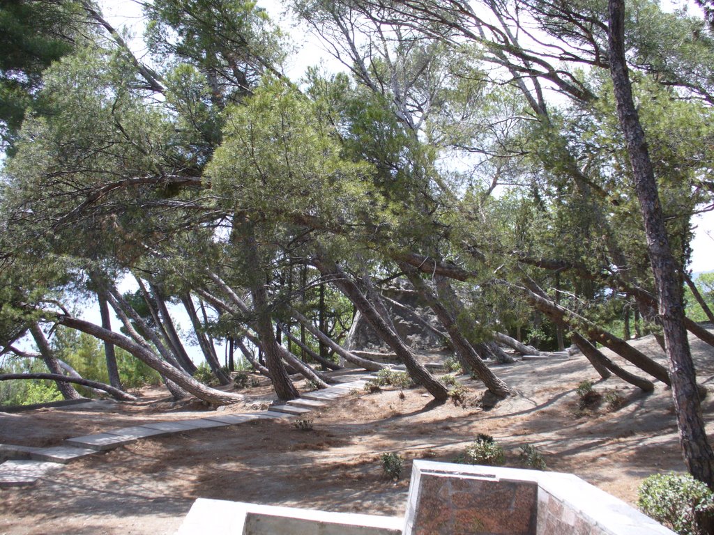 Parkovoe2007_1