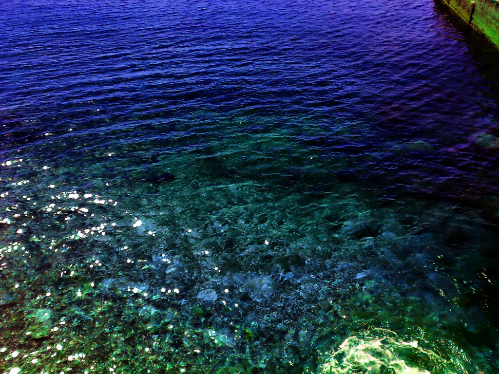 katsiveli 2009 more