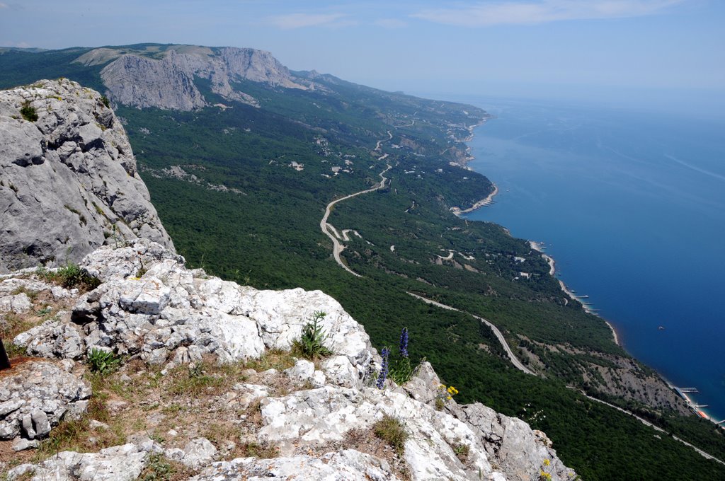 Castropol Escarp