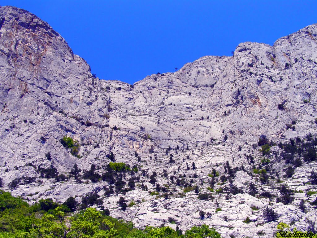 Крымские горы Форос