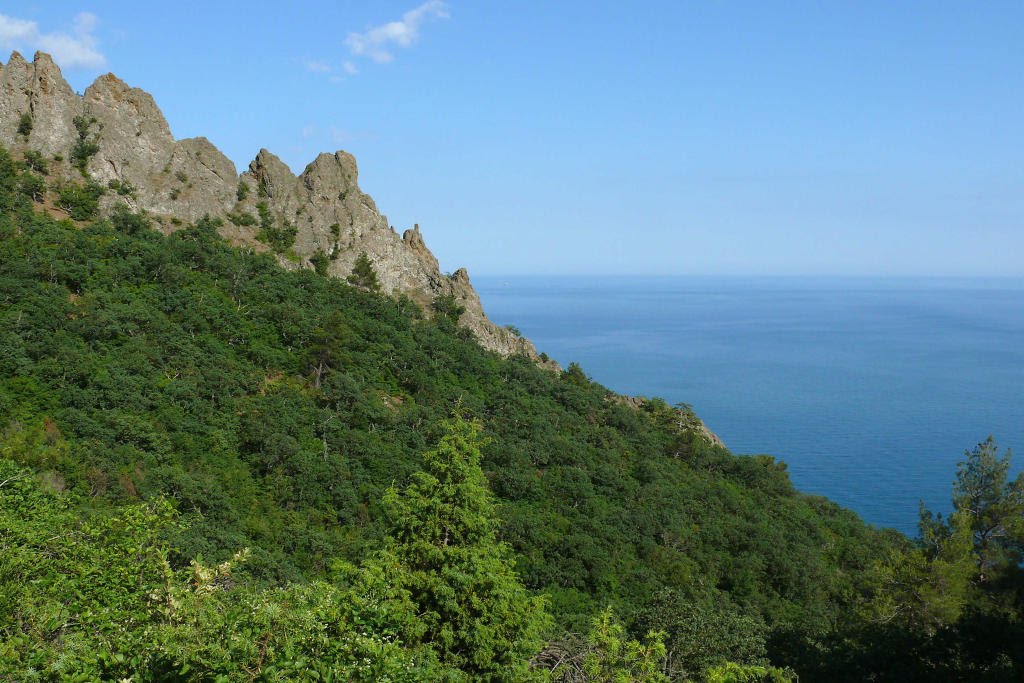 Rocks,forest and sea