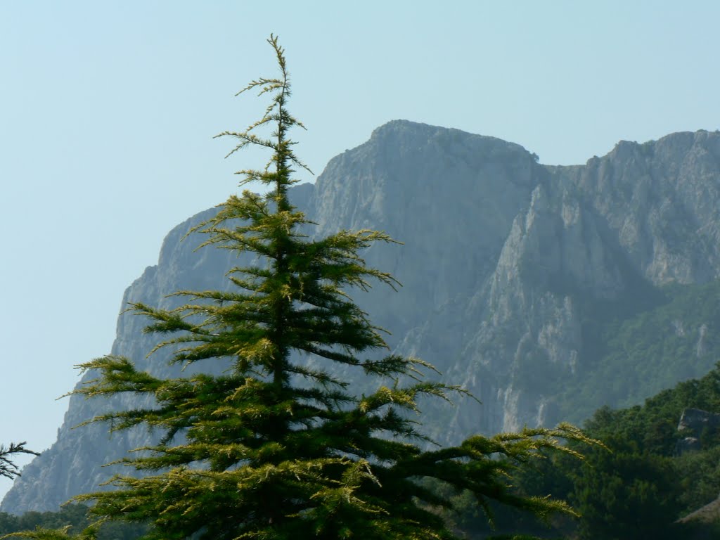 Южный берег Крыма