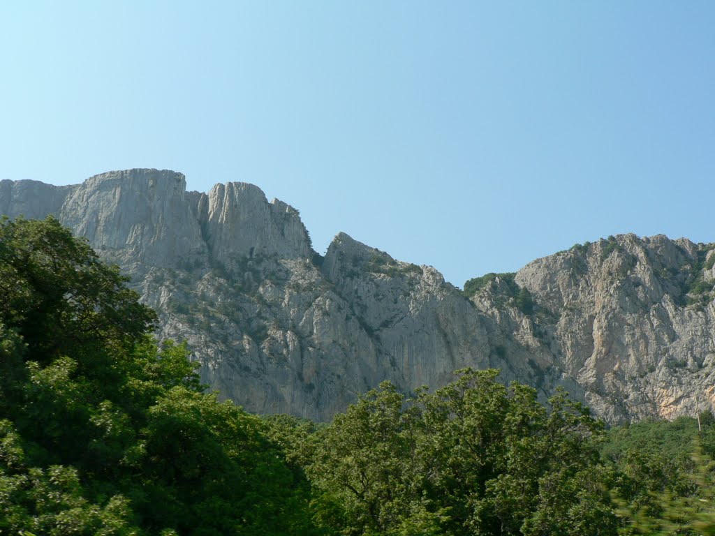 Южный берег Крыма