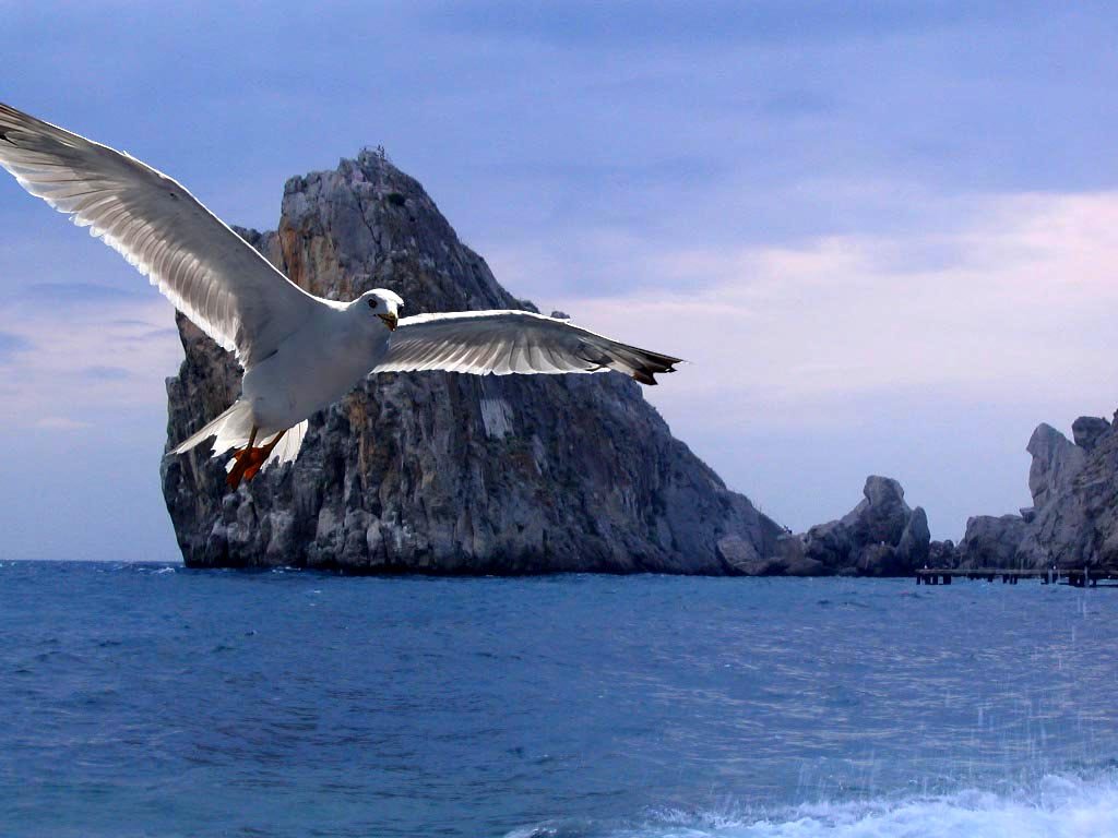 the Diva rock, Crimea, Ukraine