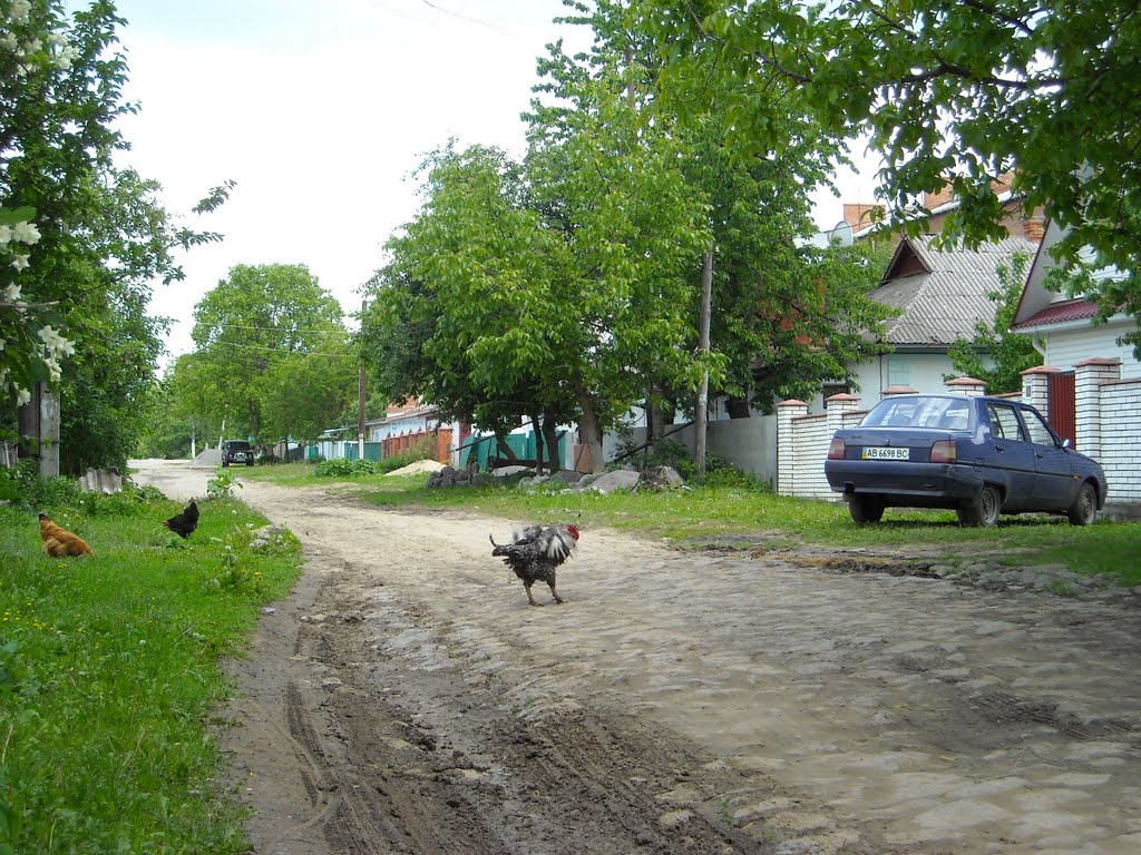 ул. Первомайская