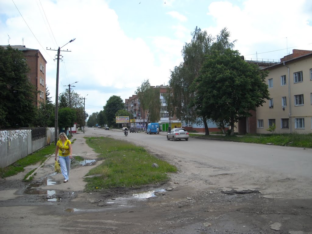 вул. Рози Люксембург