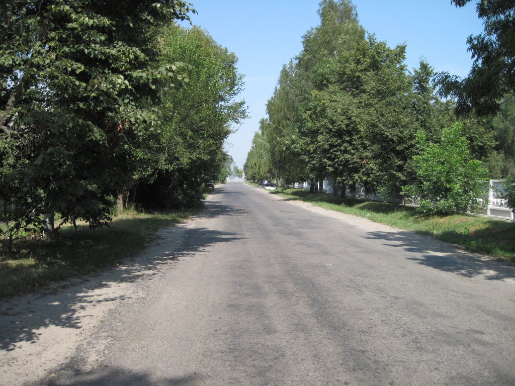 Бар в районе сахарного завода