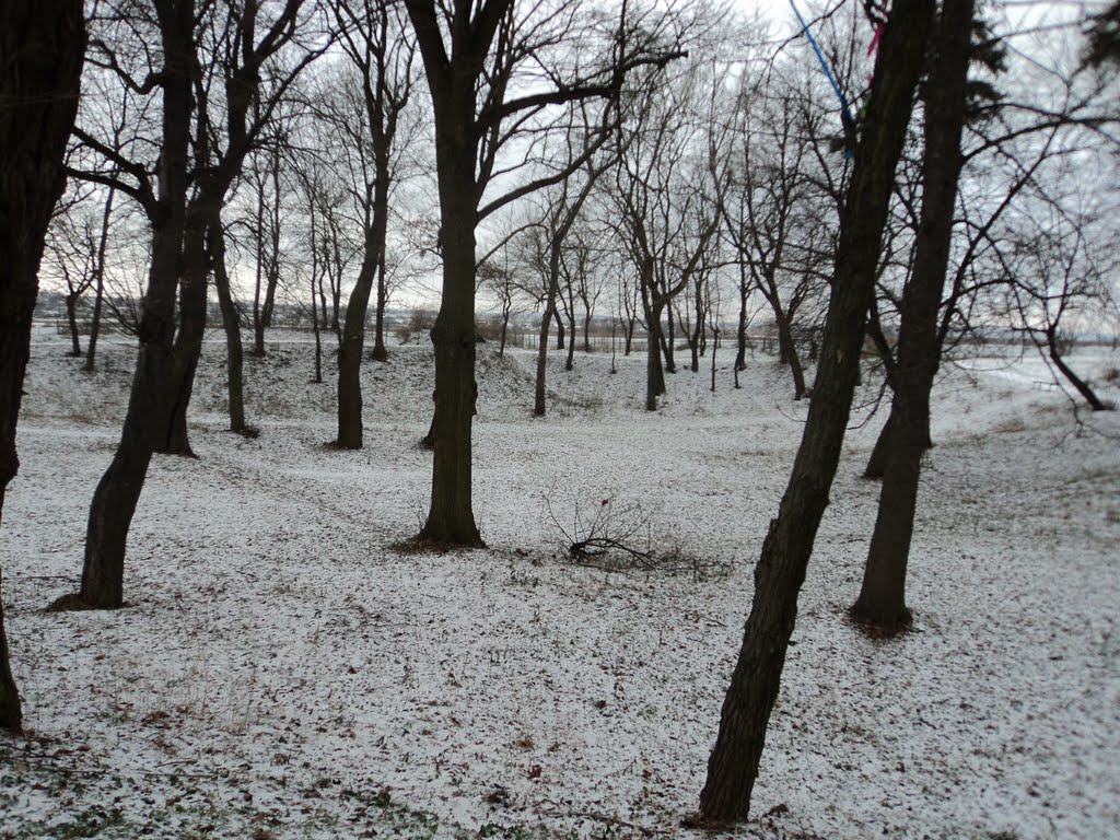 Бар 10,12,2010