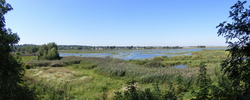 A swamp in Bar, Wynnycka obl