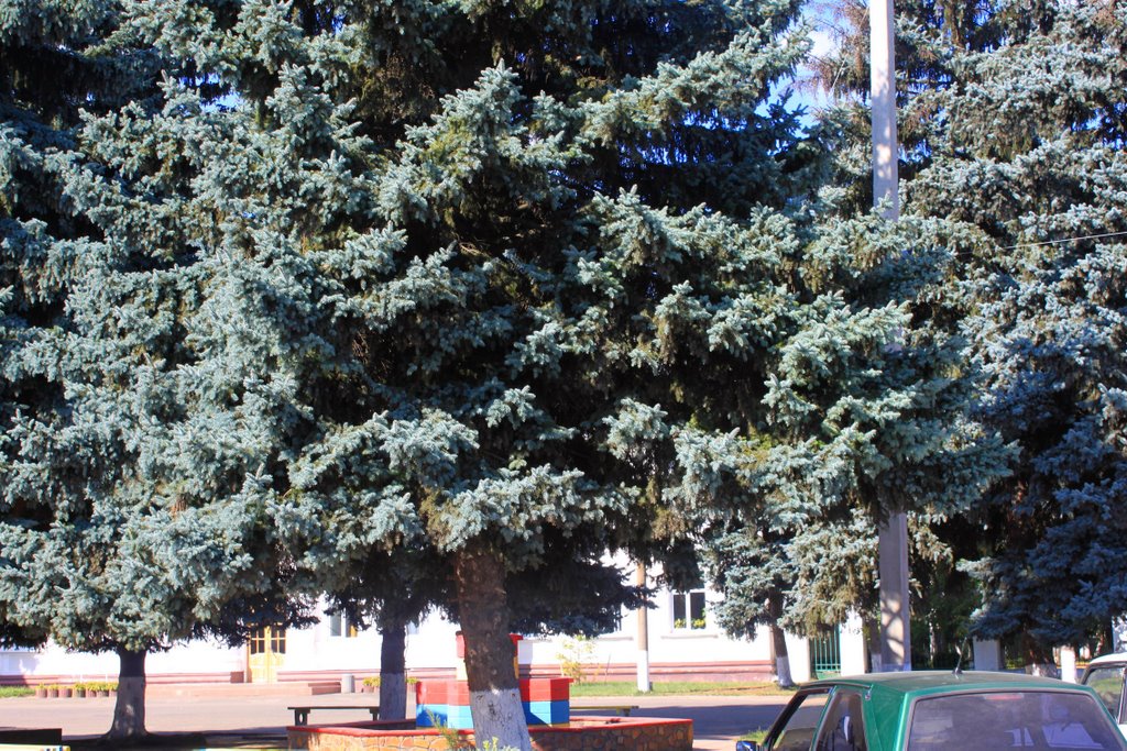Бершадь
