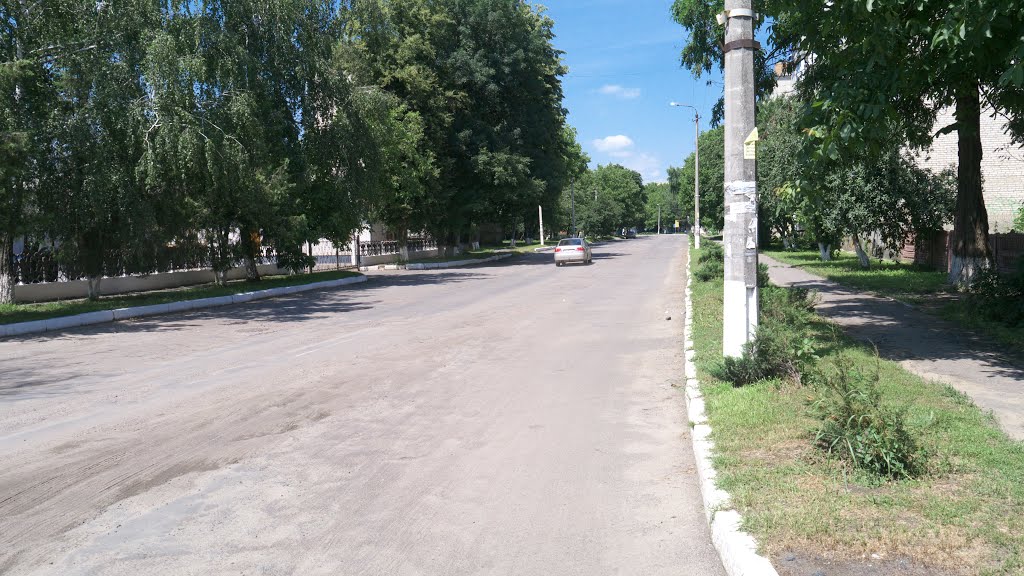 м. Бершадь, вул. Ніколаєнка