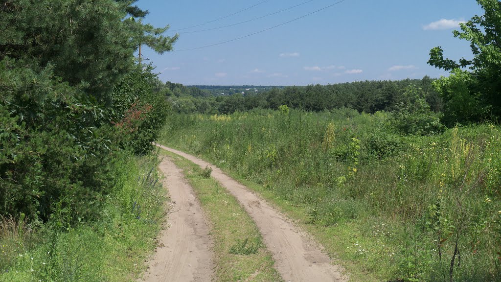 м. Бершадь, дорога до лісопарку "Анталька"