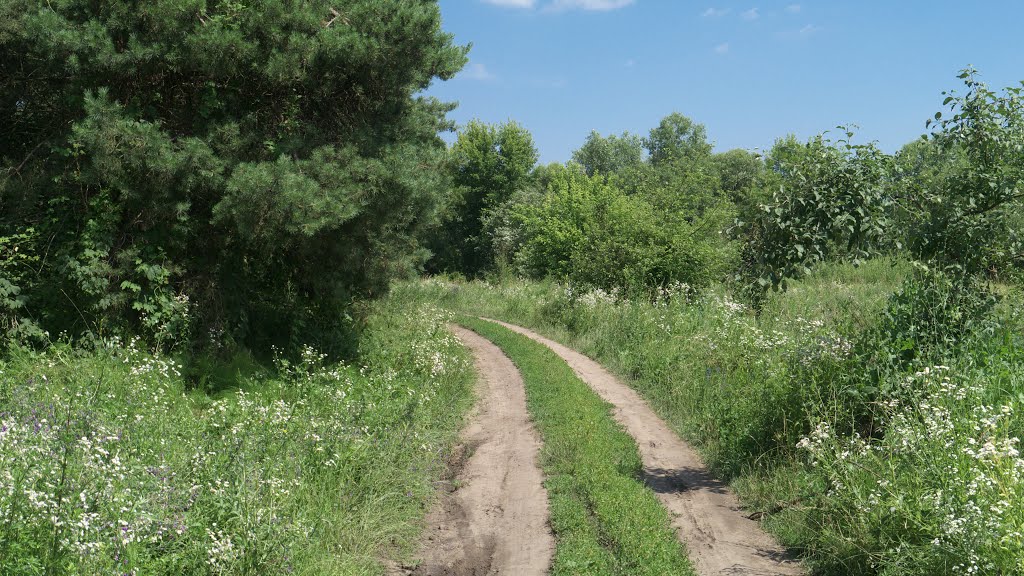 м. Бершадь, дорога до лісопарку "Анталька"
