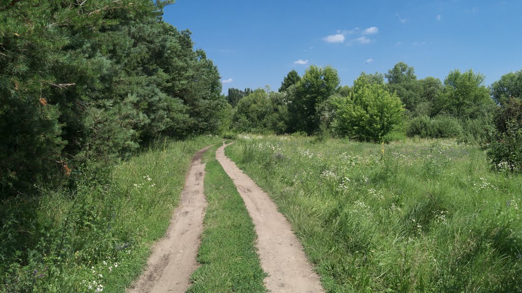 м. Бершадь, дорога до лісопарку "Анталька"