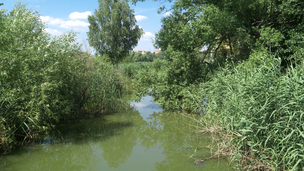 м. Бершадь, лісопарк "Анталька"