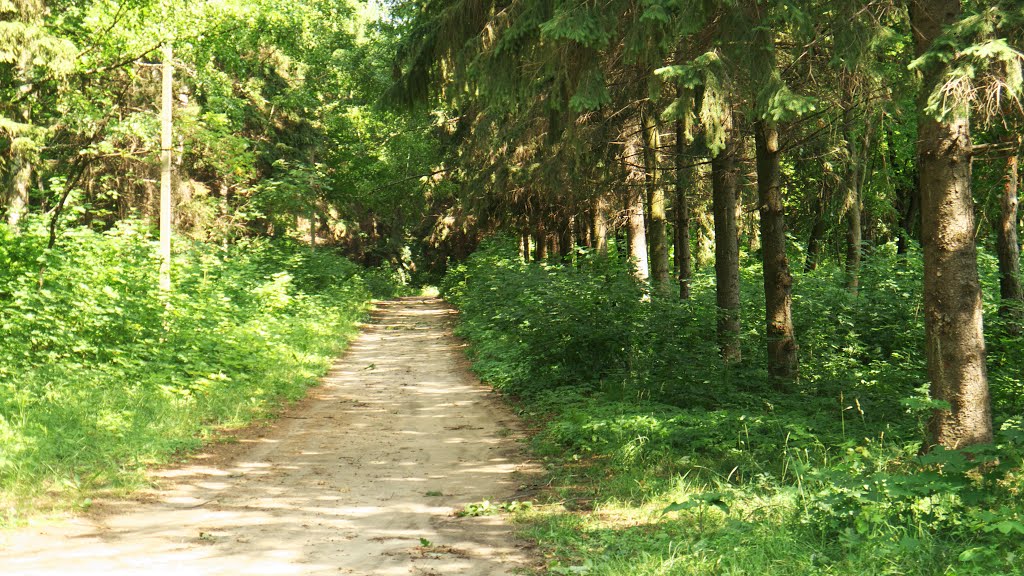 м. Бершадь, лісопарк "Анталька"