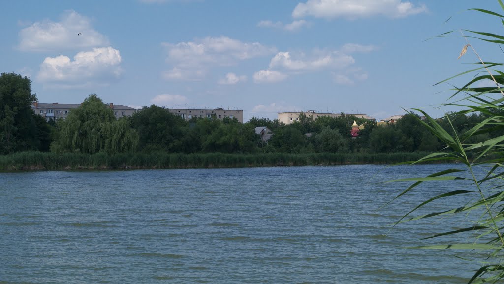 м. Бершадь, вигляд із лісопарку "Анталька"