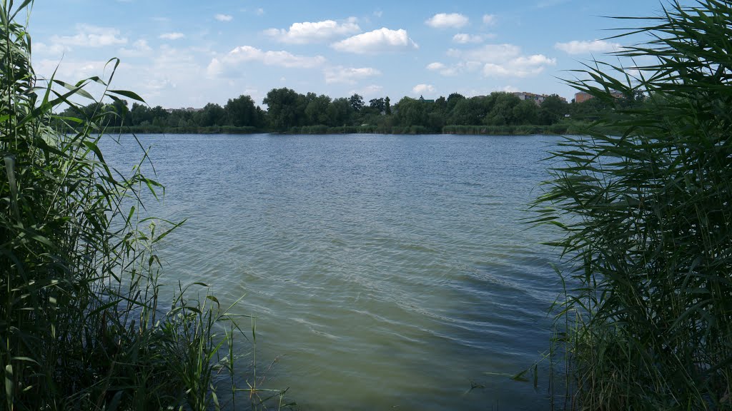 м. Бершадь, лісопарк "Анталька"