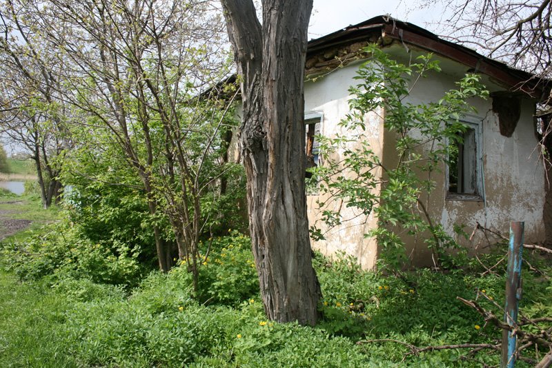 Kirova 1