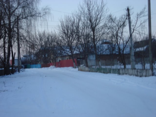ул.Островского