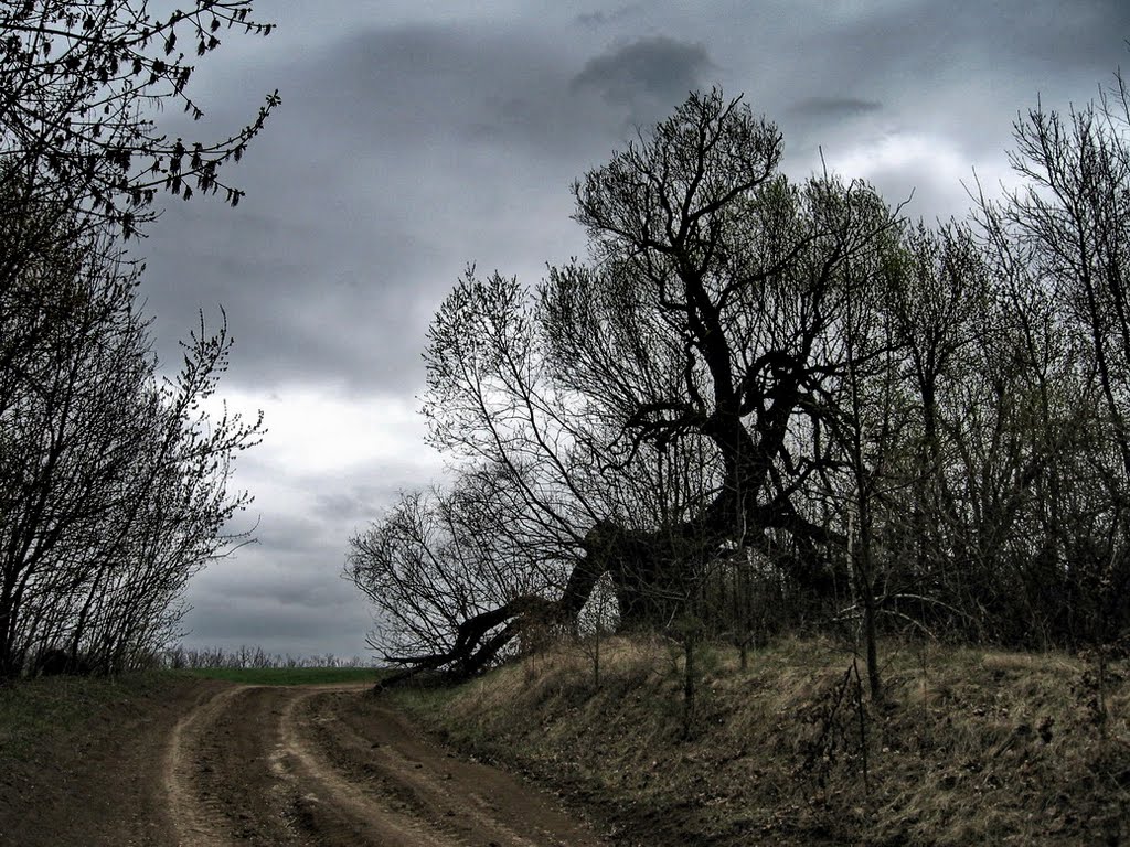 Vicinities of Bratslav. Vinnytsia Oblast. Ukraine. / Брацлав.