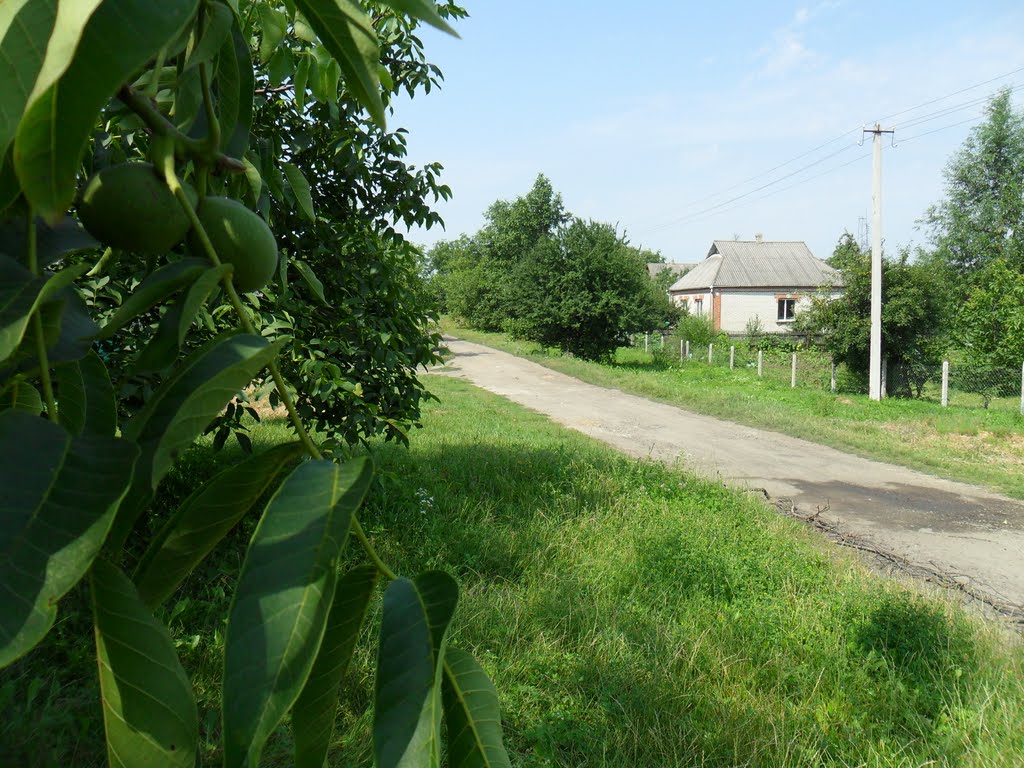 ул.Пионерская