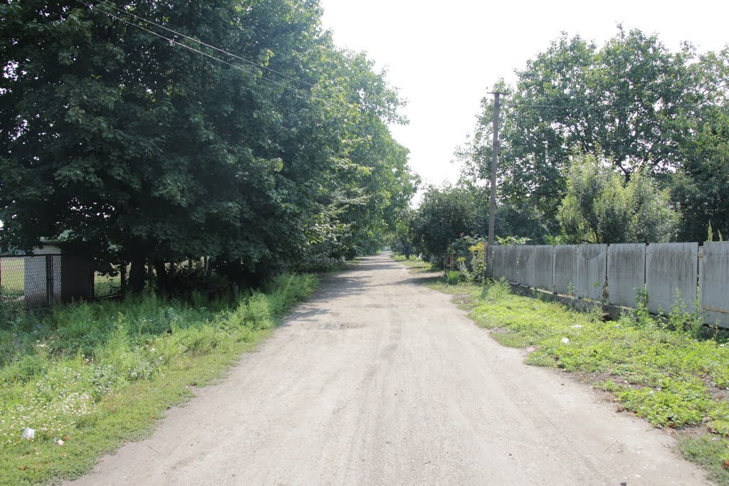 ул. Толстого