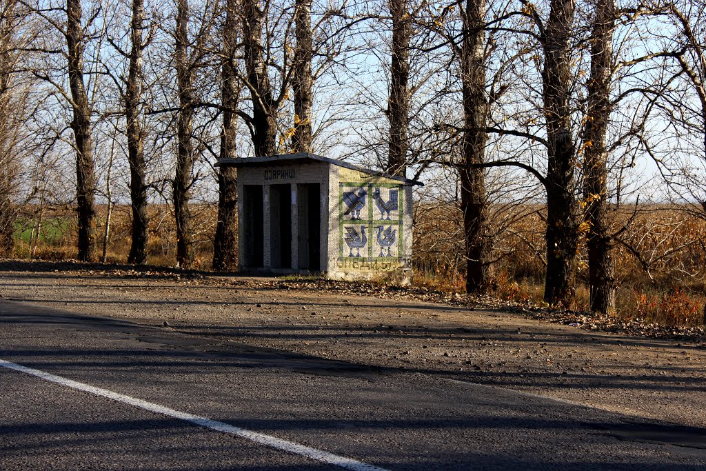 Мозаика у села Озаринцы. "Кобальтовые птицы".