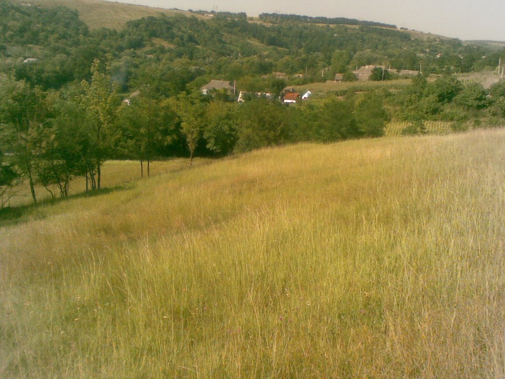 View from hill in Izrailovka