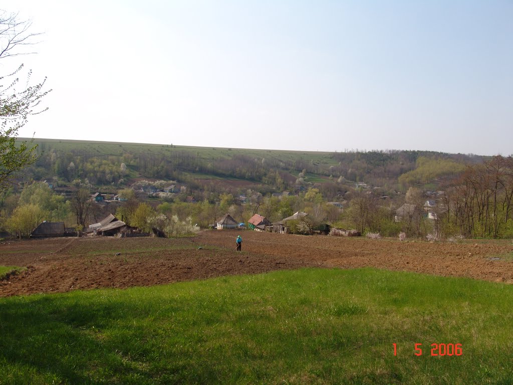 Борщевцы