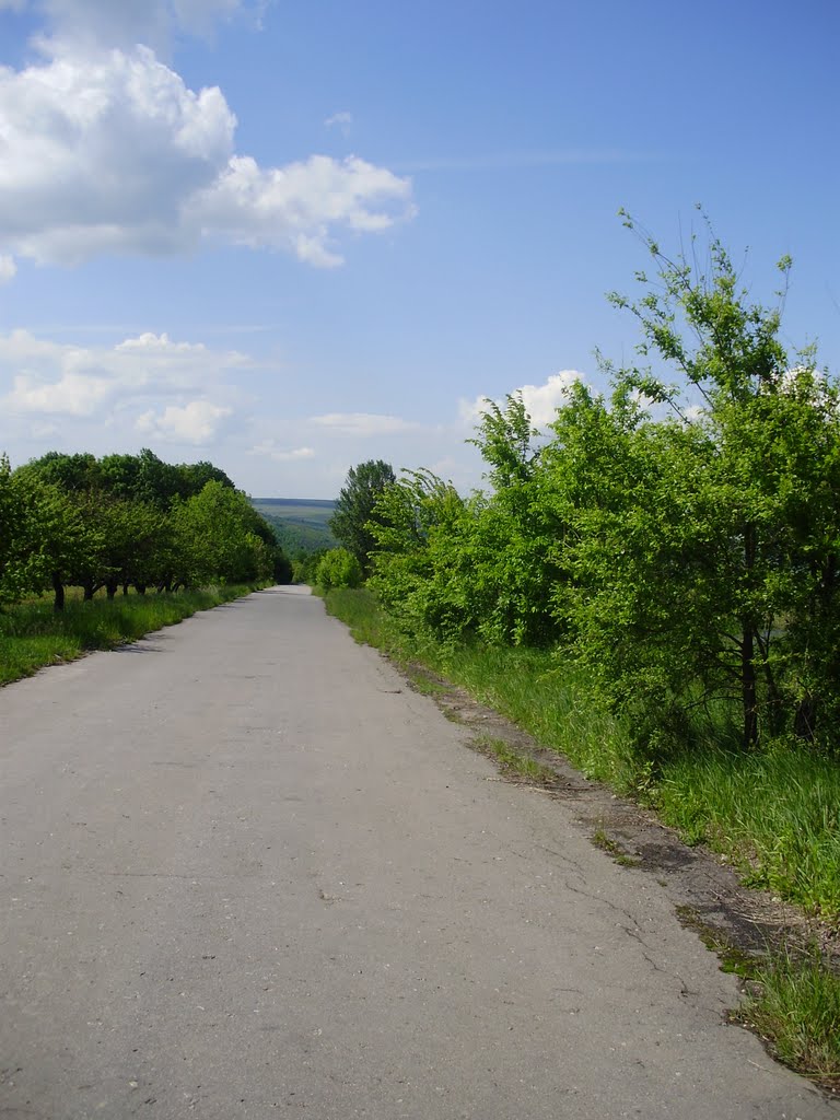 Дорога на Немерчі