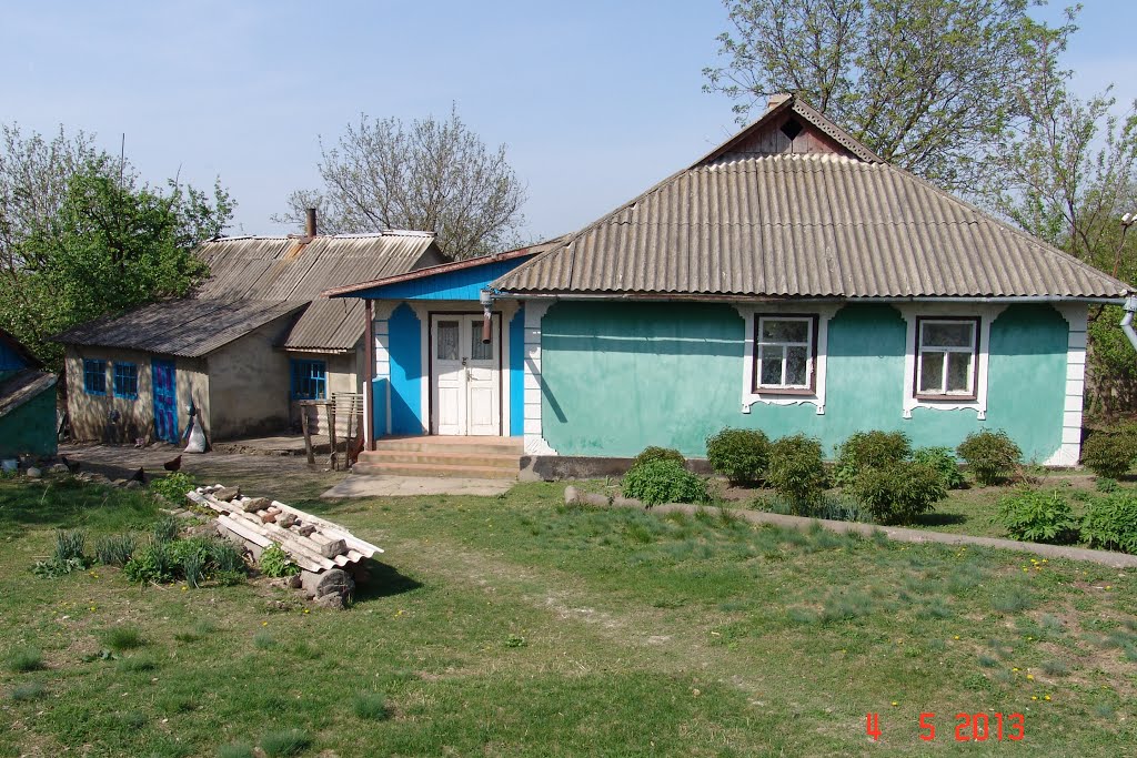 Подлесное Могилев-Подольский район, Винницкая область