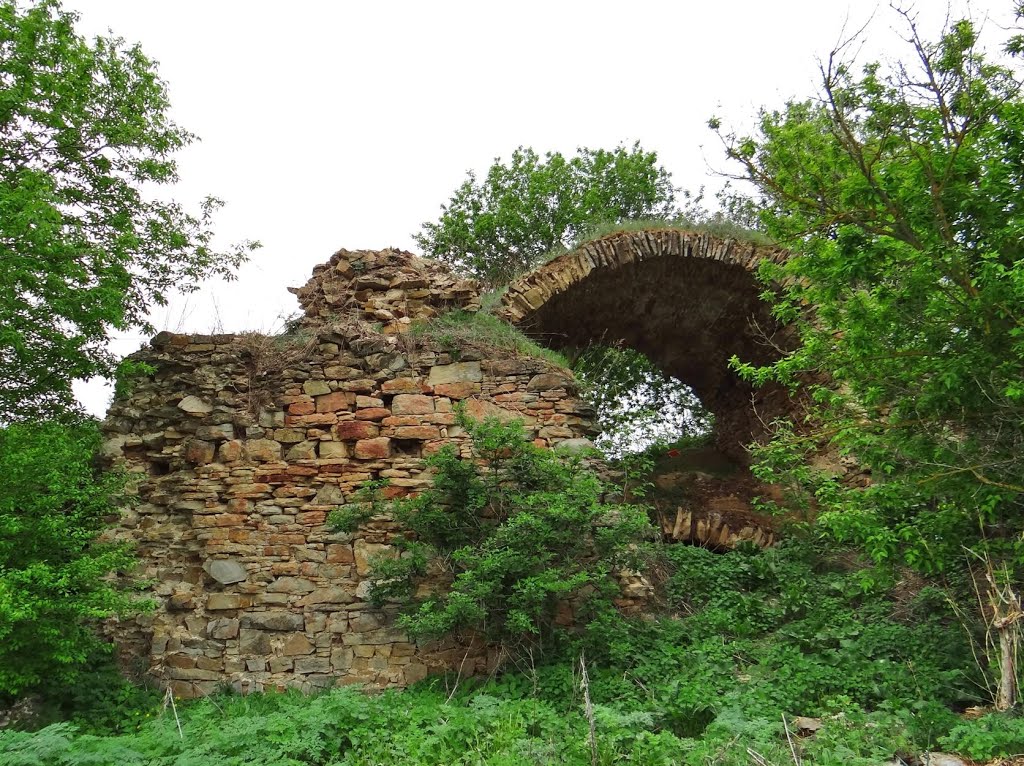 Озаринці - руїни замку,  Ozaryntsi - ruins of castle, Ozarzyńce - zamek