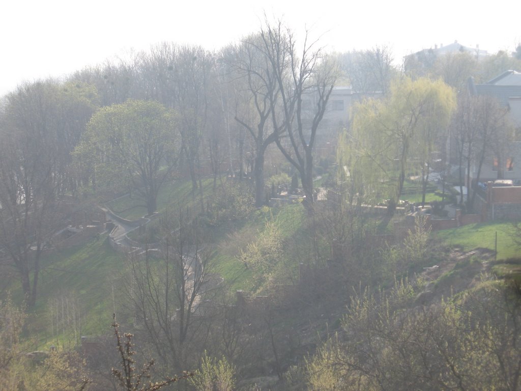Foggy landscape