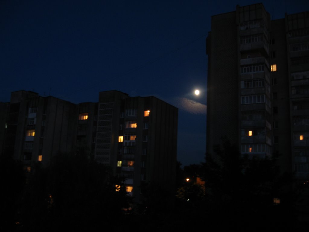 Night