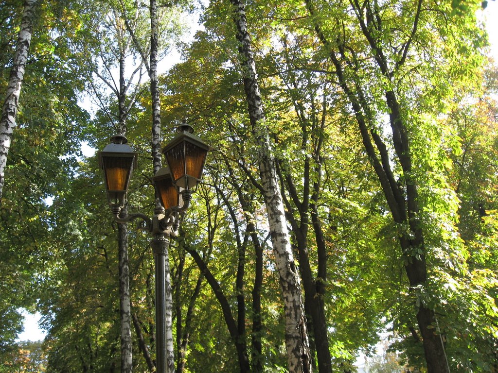 autumn park
