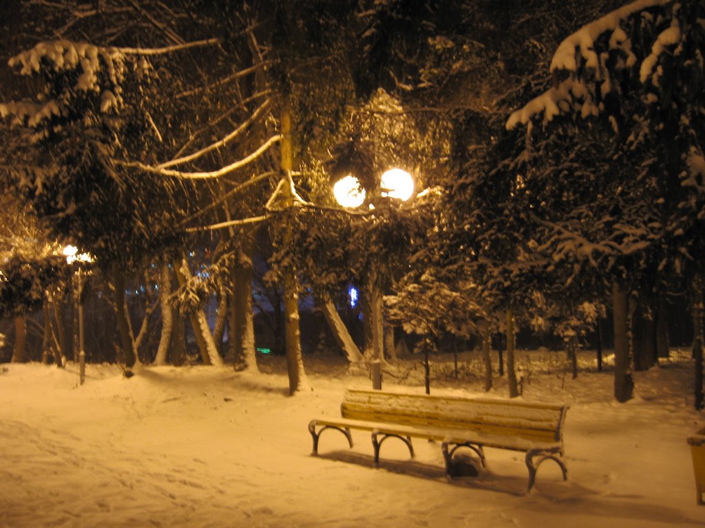winter park