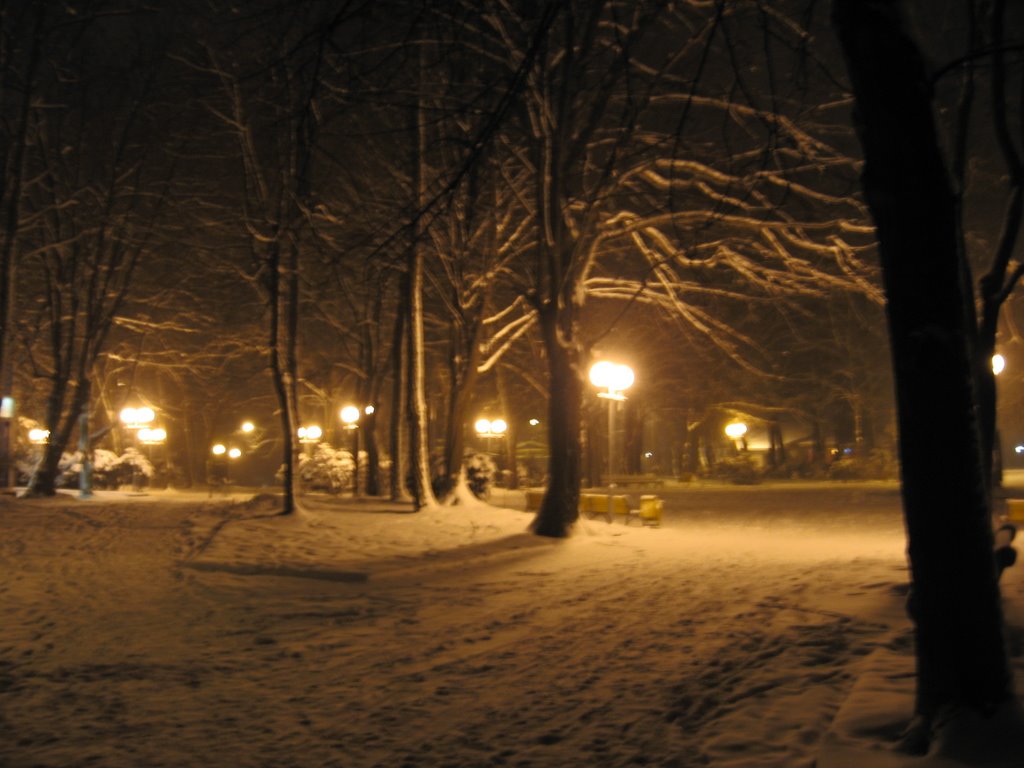 winter impressions