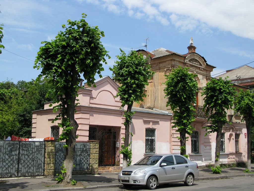 Вул.Козицького,Вінниця   2010   (Vinnytsia,Ukraine)