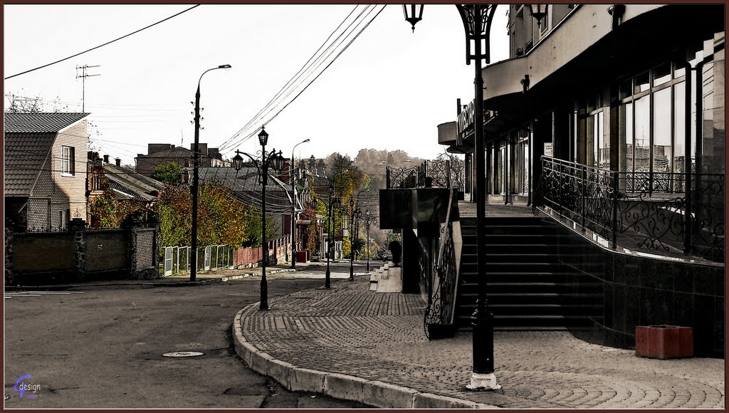 вул. Пушкіна / Pushkin st. 24.10.2010 15:00:00 Вінниця / Vinnytsya