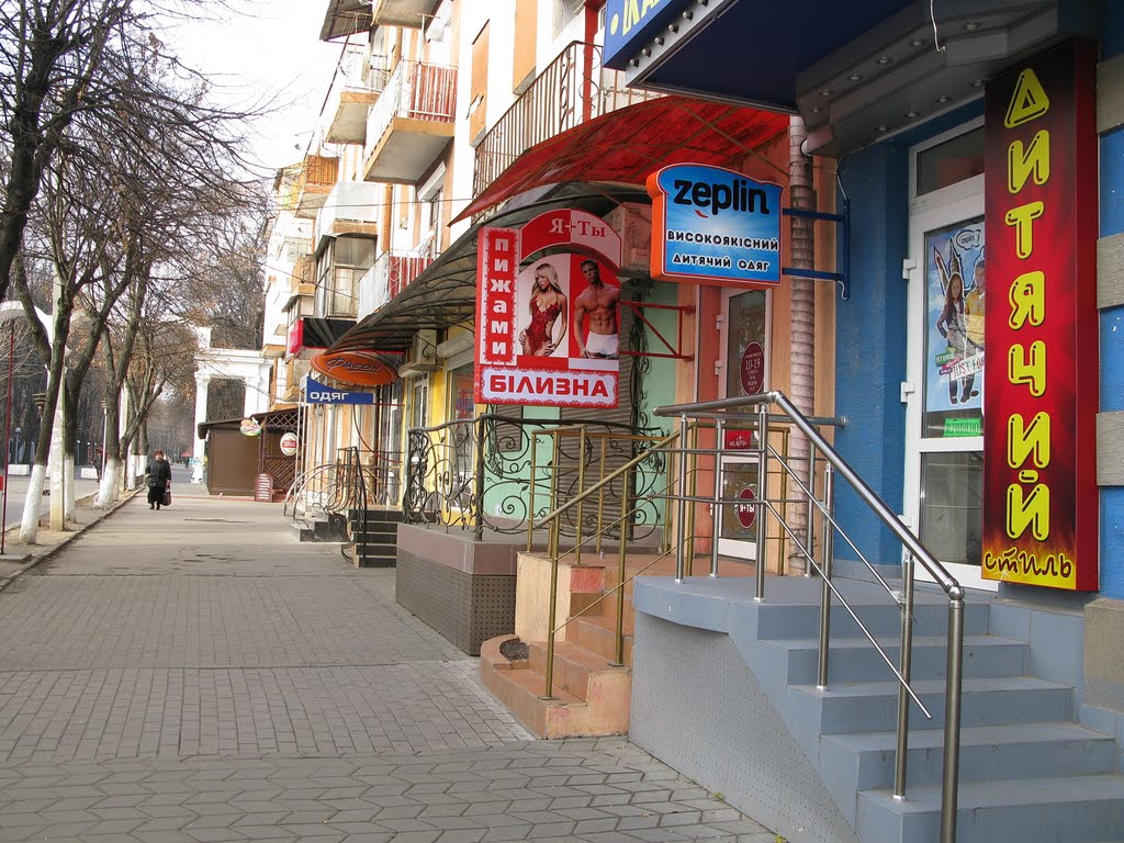Вінниця,вул.Грушевського ,70.   (Ukraine,Vinnytsia.) 2011.