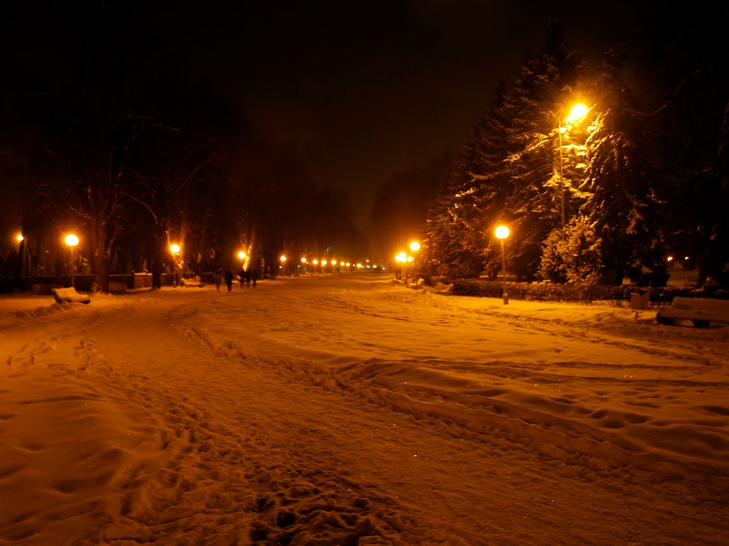 Парк імені Горького