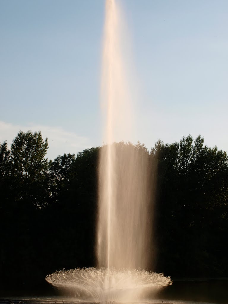 Fountain "Roshen"