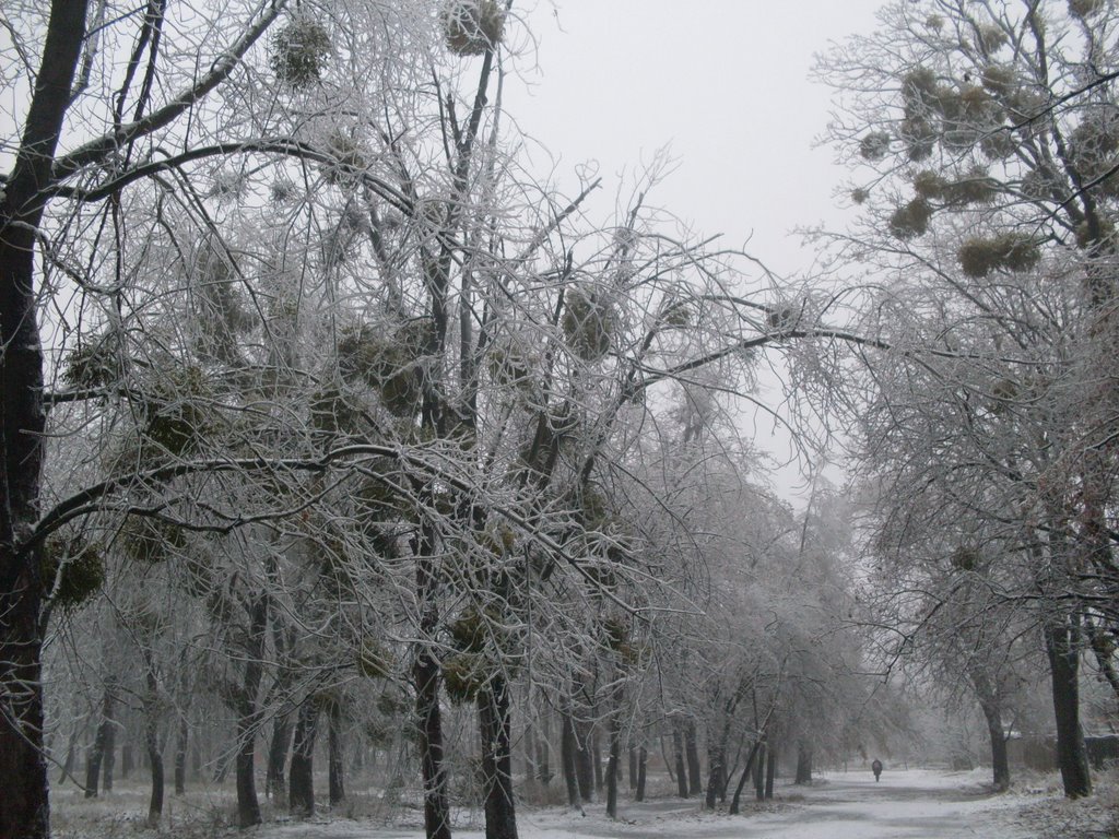 ~Парк зима~