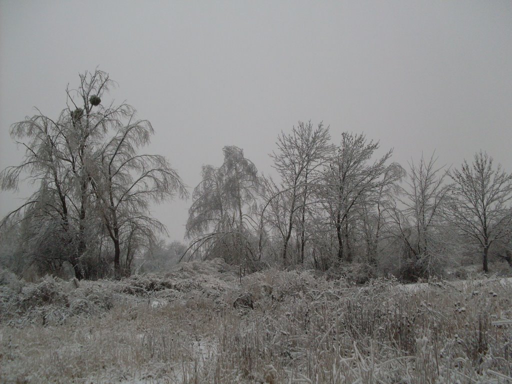 ~Зима~