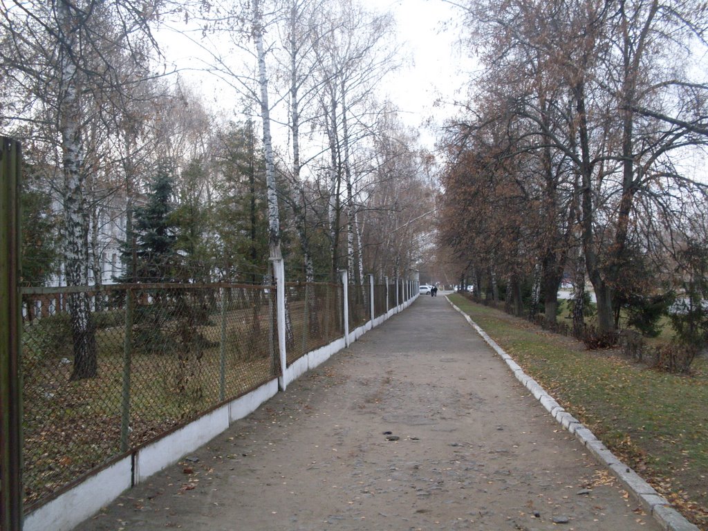 ~АЛЛЕЯ ВОЗЛЕ ЛЕТНОЙ ЧАСТИ~